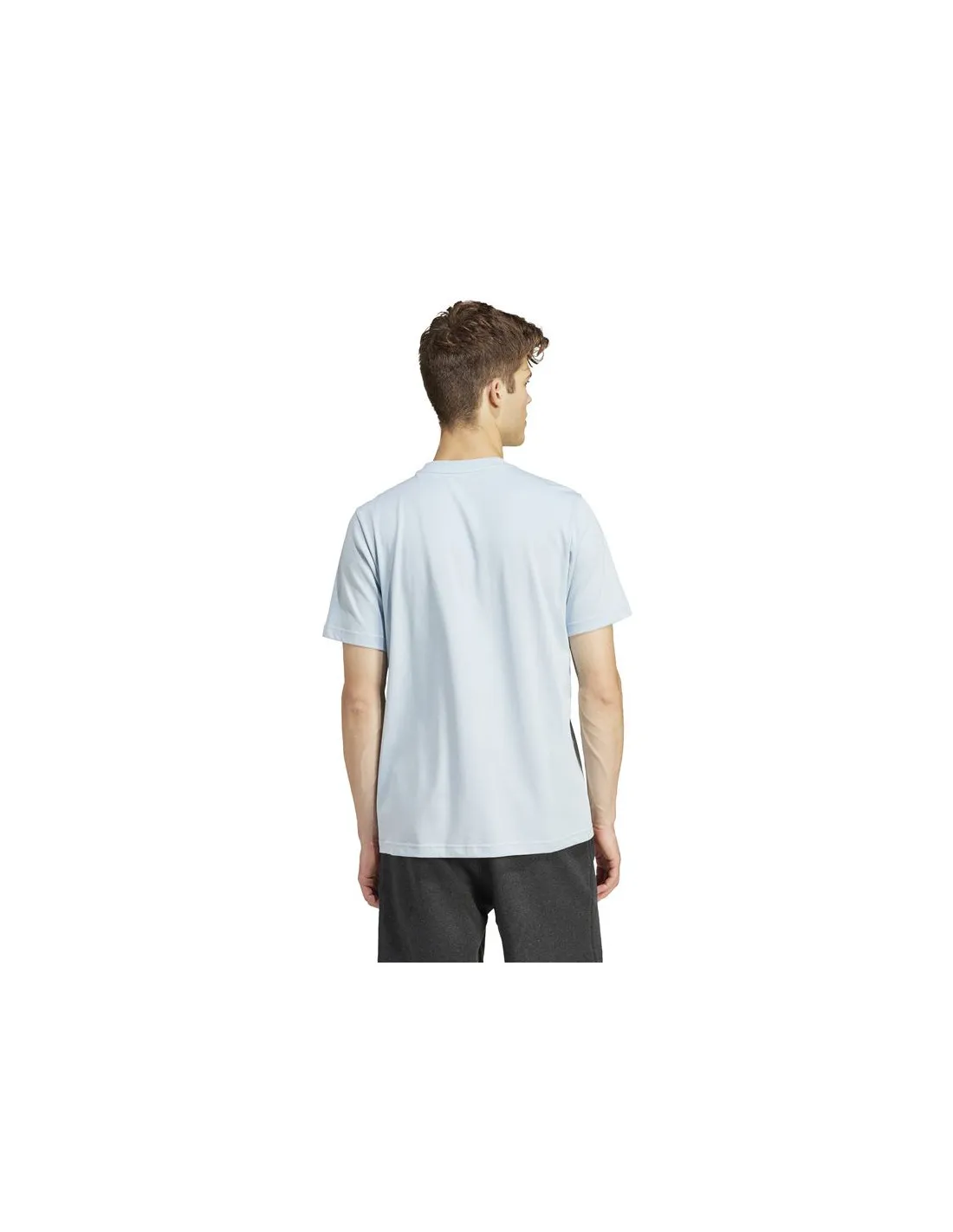 Camiseta adidas Illustrated Linear Hombre Azul