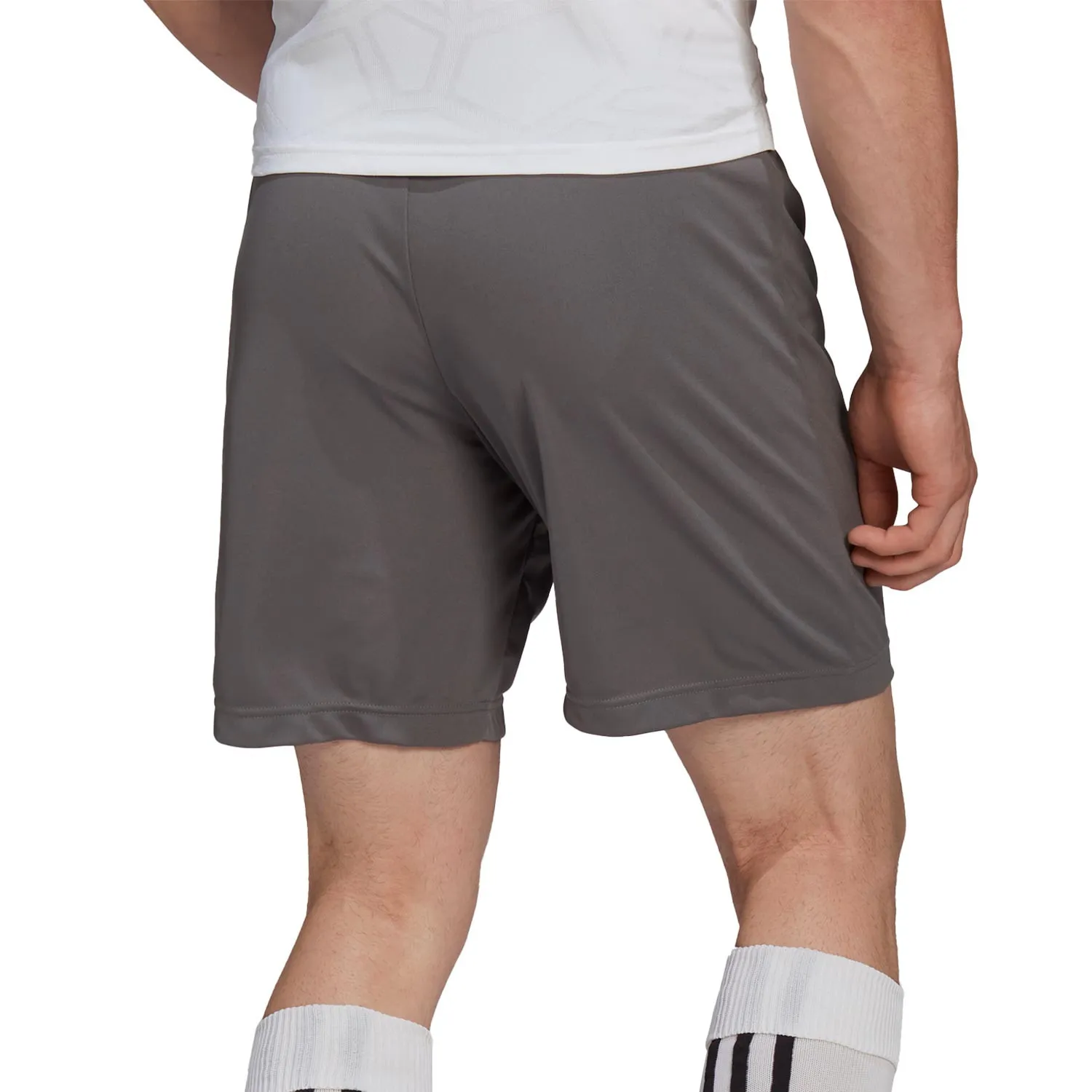 Short adidas Entrada 22