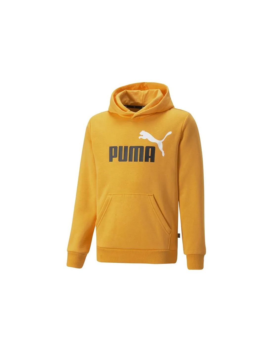 Sudadera con Capucha Puma Essentials+ Infantil