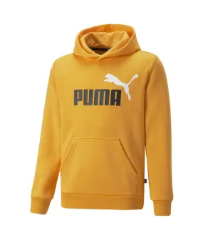 Sudadera con Capucha Puma Essentials+ Infantil