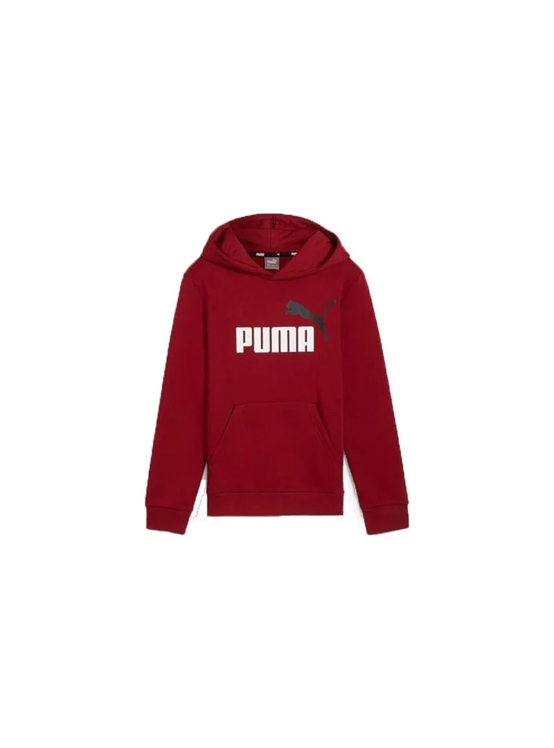 Sudadera Puma Essentials Big Logo